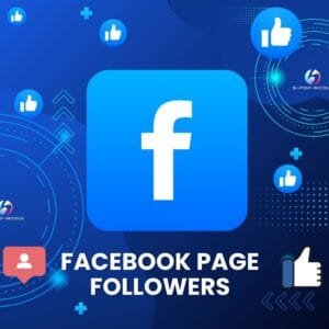 Facebook Page Followers